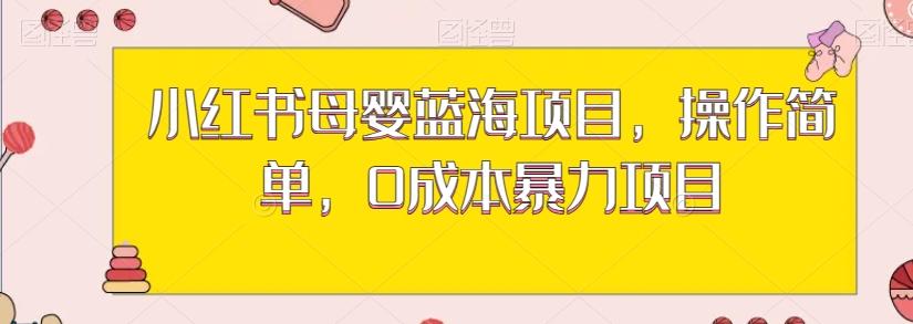 小红书母婴蓝海项目，操作简单，0成本暴力项目-天使资源网
