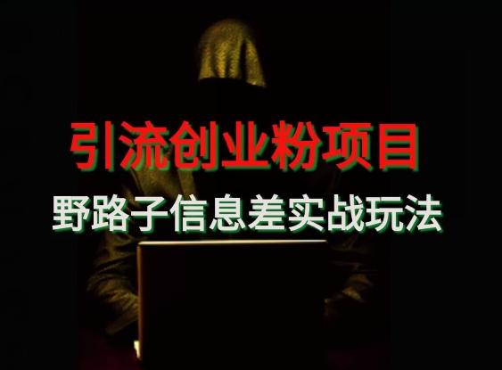 【引流创业粉】野路子信息差玩法实战教学-天使资源网