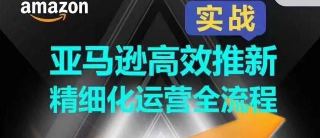 亚马逊高效推新精细化运营全流程，全方位、快速拉升产品排名和销量!-天使资源网