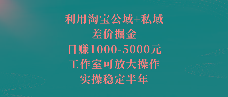 利用淘宝公域+私域差价掘金，日赚1000-5000元，工作室可放大操作，实操…-天使资源网