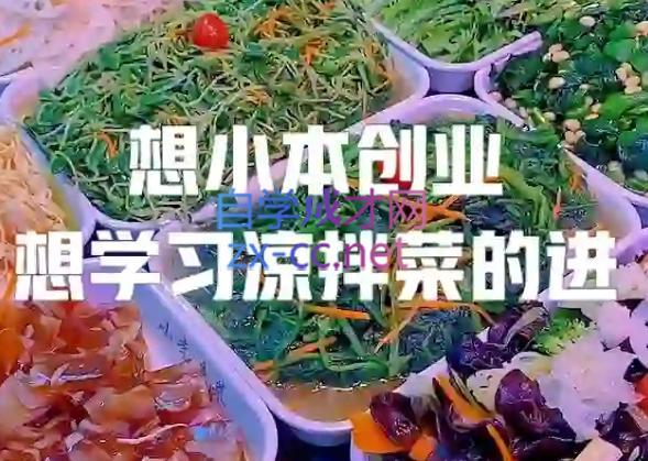 李记·精品凉拌菜系列热卤系列教程-天使资源网