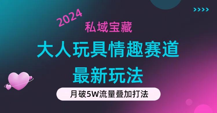 私域宝藏：大人玩具情趣赛道合规新玩法，零投入，私域超高流量成单率高-天使资源网