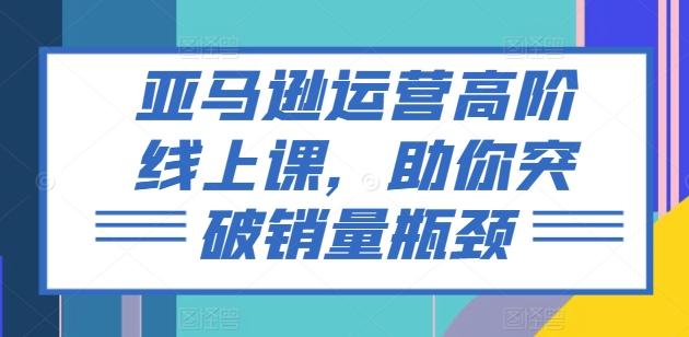亚马逊运营高阶线上课，助你突破销量瓶颈-天使资源网