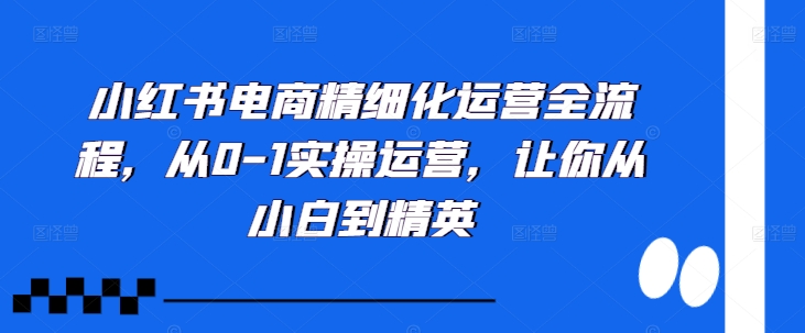 小红书电商精细化运营全流程，从0-1实操运营，让你从小白到精英-天使资源网