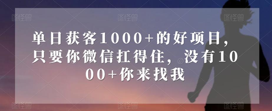 单日获客1000+的好项目，只要你微信扛得住，没有1000+你来找我【揭秘】-天使资源网