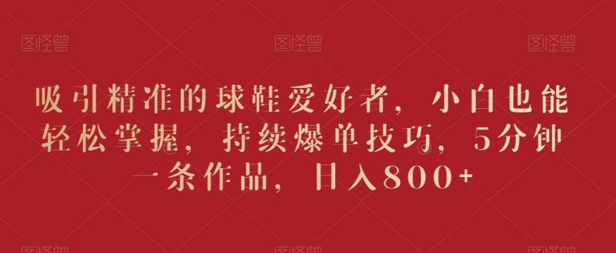 吸引精准的球鞋爱好者，小白也能轻松掌握，持续爆单技巧，5分钟一条作品，日入800+【揭秘】-天使资源网