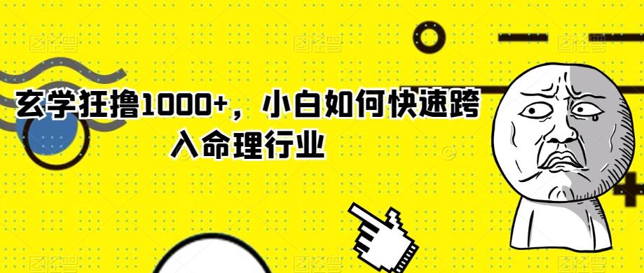 玄学狂撸1000+，小白如何快速跨入命理行业-天使资源网