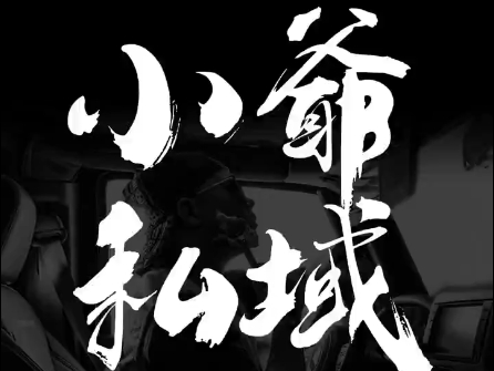 小爷·私域项目操盘手-天使资源网