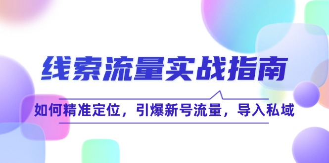 线 索 流 量-实战指南：如何精准定位，引爆新号流量，导入私域-天使资源网
