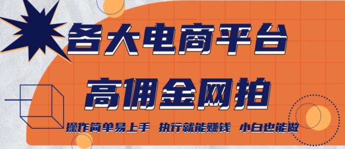 各大电商平台高佣金网拍，操作简单易上手，执行就能赚钱，小白也能做-天使资源网