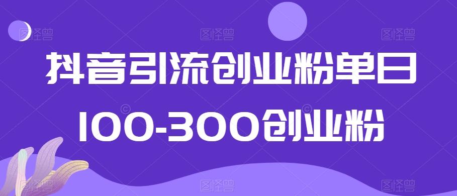 抖音引流创业粉单日100-300创业粉【揭秘】-天使资源网