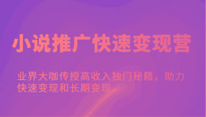 小说推广快速变现营-业界大咖传授高收入独门秘籍，助力快速变现和长期变现。-天使资源网