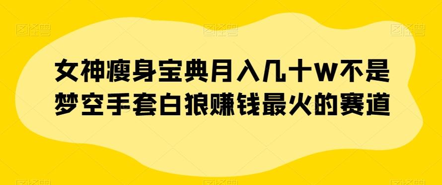 女神瘦身宝典月入几十W不是梦空手套白狼赚钱最火的赛道【揭秘】-天使资源网