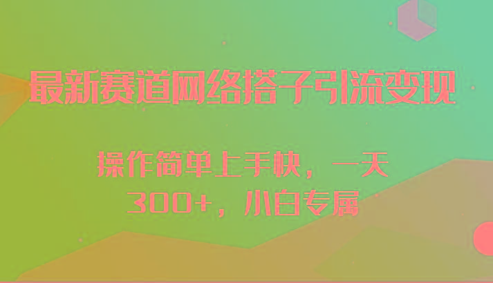最新赛道网络搭子引流变现!!操作简单上手快，一天300+，小白专属-天使资源网