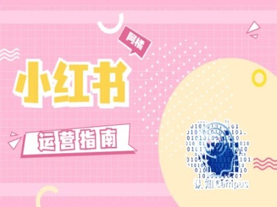 小红书运营指南，没有套路，全是经验-天使资源网