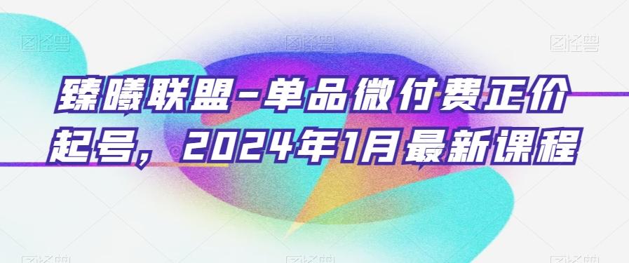 臻曦联盟-单品微付费正价起号，2024年1月最新课程-天使资源网