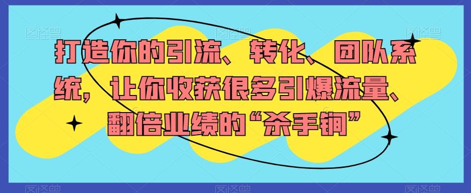 打造你的引流、转化、团队系统，让你收获很多引爆流量、翻倍业绩的“杀手锏”-天使资源网