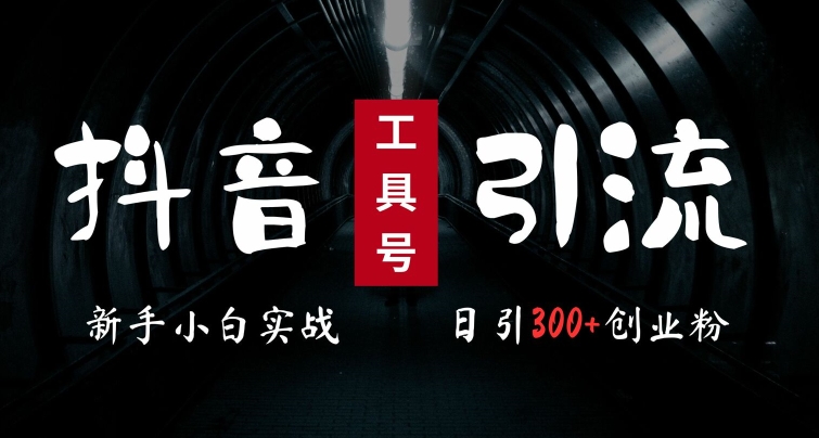 2024最新抖音工具号引流玩法，高效日引300+创业粉，当天变现5k，小白也可成为实战高手-天使资源网