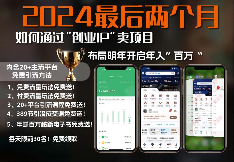 2024最后两个月如何通过”创业IP“卖项目年入”百万“,创业IP+最强引流…-天使资源网
