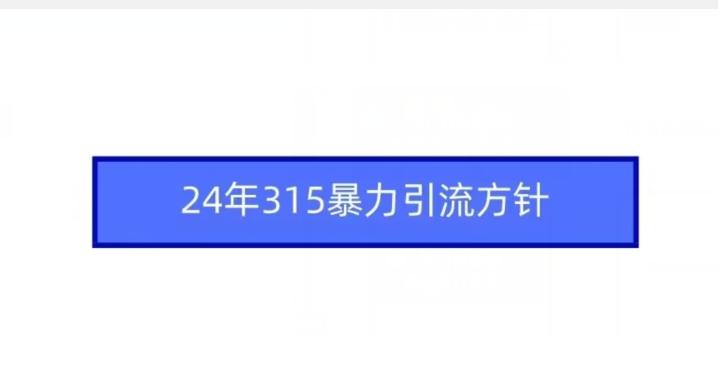 24年315暴力引流方针-天使资源网