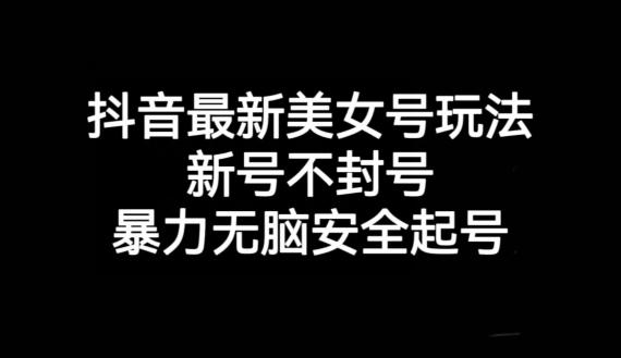 抖音最新美女号玩法，新号不封号，暴力无脑安全起号【揭秘】-天使资源网