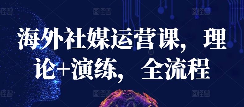 海外社媒运营课，理论+演练，全流程-天使资源网