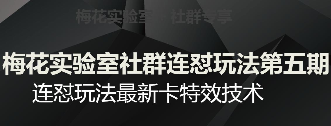 梅花实验室社群连怼玩法第五期，视频号连怼玩法最新卡特效技术-天使资源网