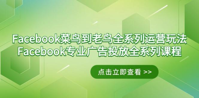 Facebook-菜鸟到老鸟全系列运营玩法+Facebook-专业广告投放全系列课程-天使资源网