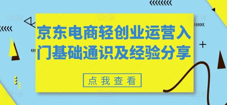 京东电商轻创业运营入门基础通识及经验分享-天使资源网