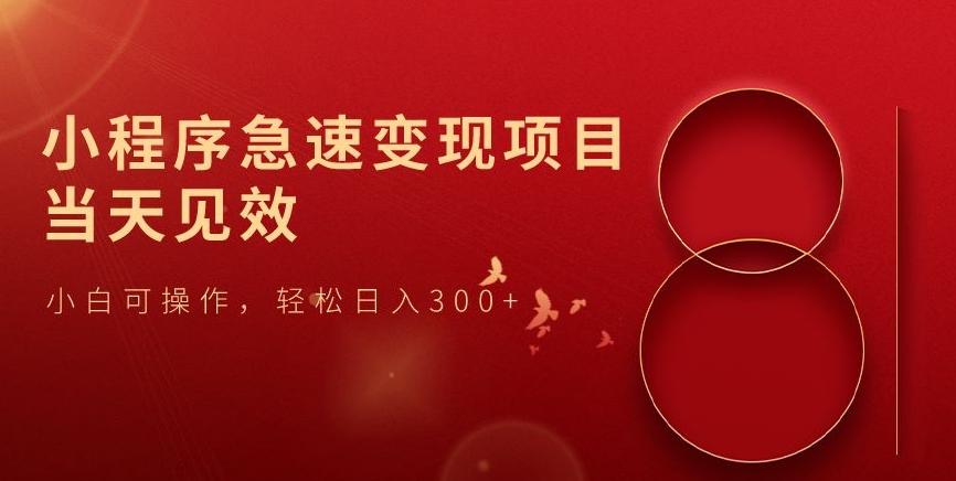 小程序急速变现项目，当天见效，小白可操作，轻松日入300+-天使资源网