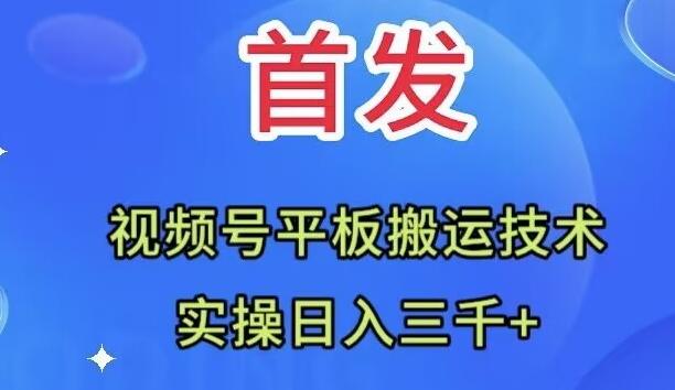 全网首发：视频号平板搬运技术，实操日入三千＋-天使资源网