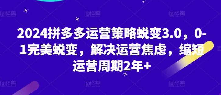 2024拼多多运营策略蜕变3.0，0-1完美蜕变，解决运营焦虑，缩短运营周期2年+-天使资源网