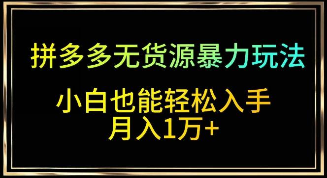 拼多多无货源暴力玩法，全程干货，小白也能轻松入手，月入1万+【揭秘】-天使资源网