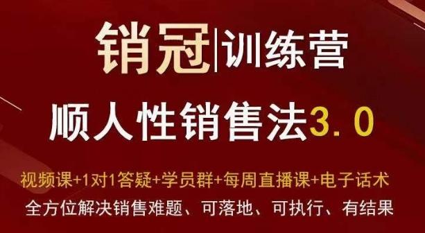 爆款！销冠训练营3.0之顺人性销售法，全方位解决销售难题、可落地、可执行、有结果-天使资源网