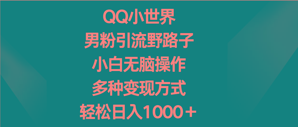 QQ小世界男粉引流野路子，小白无脑操作，多种变现方式轻松日入1000＋-天使资源网