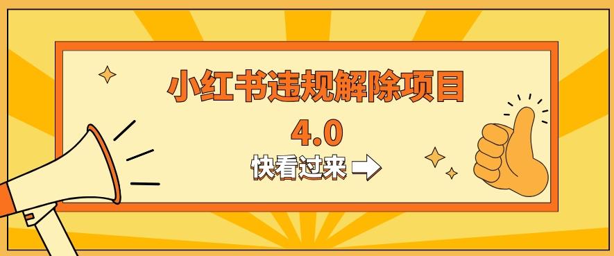 小红书违规掘金蓝海项目，日入800+（附带引流办法及解除办法）-天使资源网