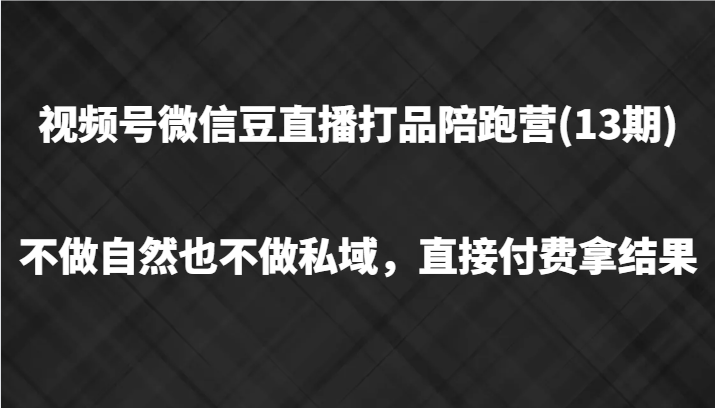 视频号微信豆直播打品陪跑(13期)，不做不自然流不做私域，直接付费拿结果-天使资源网