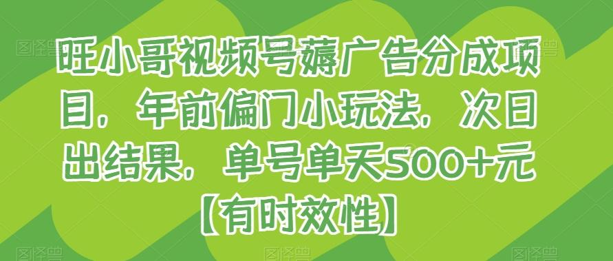 旺小哥视频号薅广告分成项目，年前偏门小玩法，次日出结果，单号单天500+元【有时效性】-天使资源网