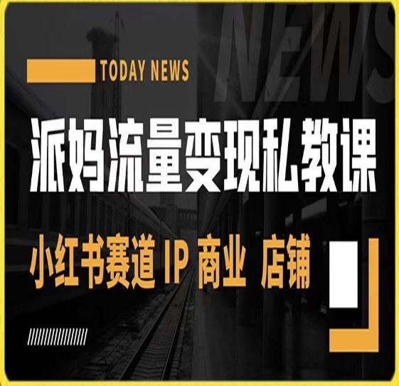 派妈流量变现私教课，小红书赛道IP  商业  店铺 -天使资源网
