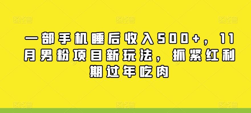 一部手机睡后收入500+，11月男粉项目新玩法，抓紧红利期过年吃肉-天使资源网