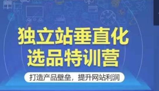 独立站垂直化选品特训营，打造产品壁垒，提升网站利润-天使资源网