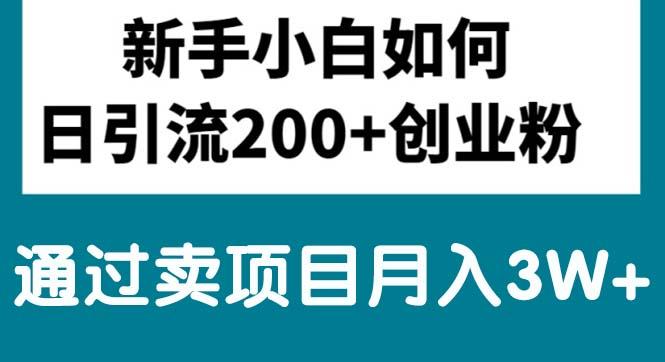 新手小白日引流200+创业粉,通过卖项目月入3W+-天使资源网