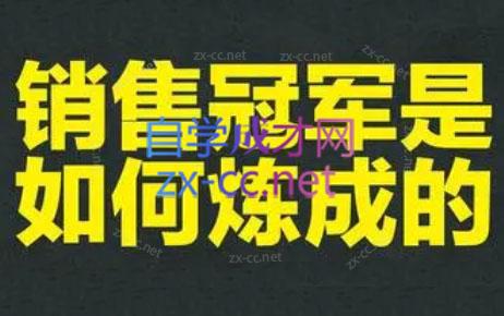 林林老师·成为外贸销售冠军课-天使资源网