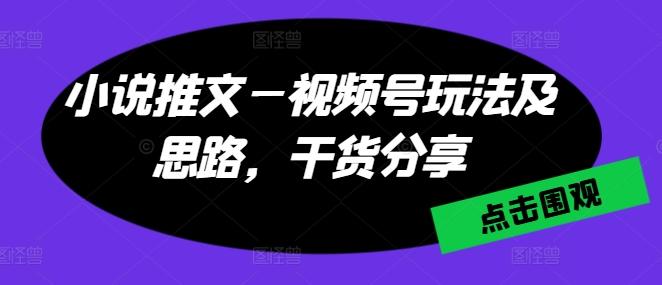 小说推文—视频号玩法及思路，干货分享-天使资源网