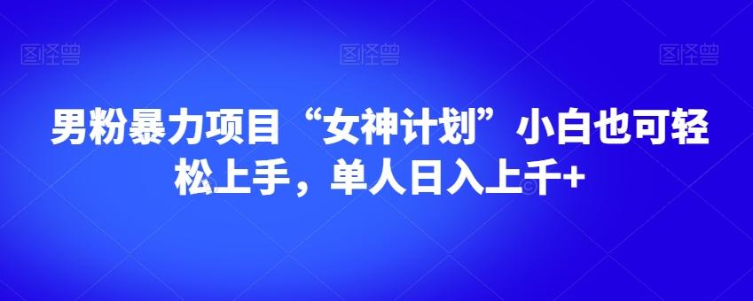 男粉暴力项目“女神计划”小白也可轻松上手，单人日入上千+【揭秘】-天使资源网