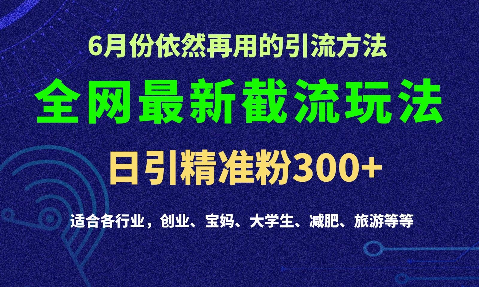 2024全网最新截留玩法，每日引流突破300+-天使资源网