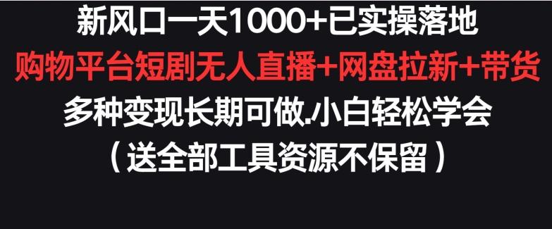 新风口一天1000+已实操落地购物平台短剧无人直播+网盘拉新+带货多种变现长期可做【揭秘】-天使资源网