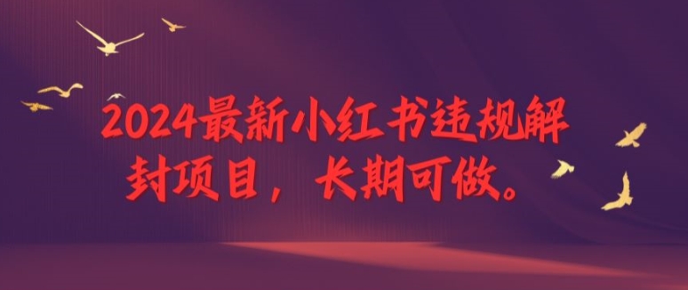 2024最新小红书违规解封项目，长期可做，一个可以做到退休的项目【揭秘】-天使资源网