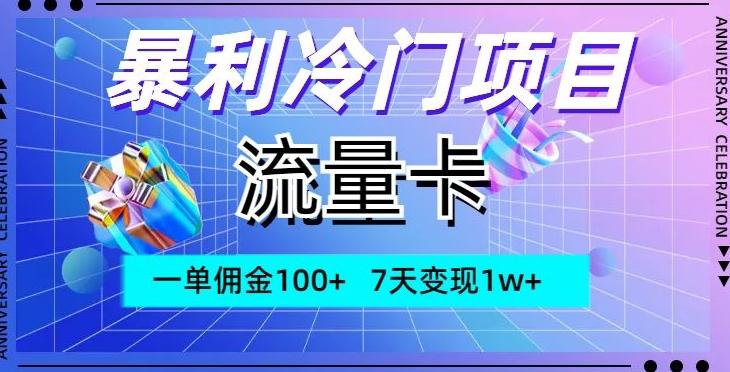 暴利冷门项目，流量卡，一单佣金100+，7天变现1w+-天使资源网