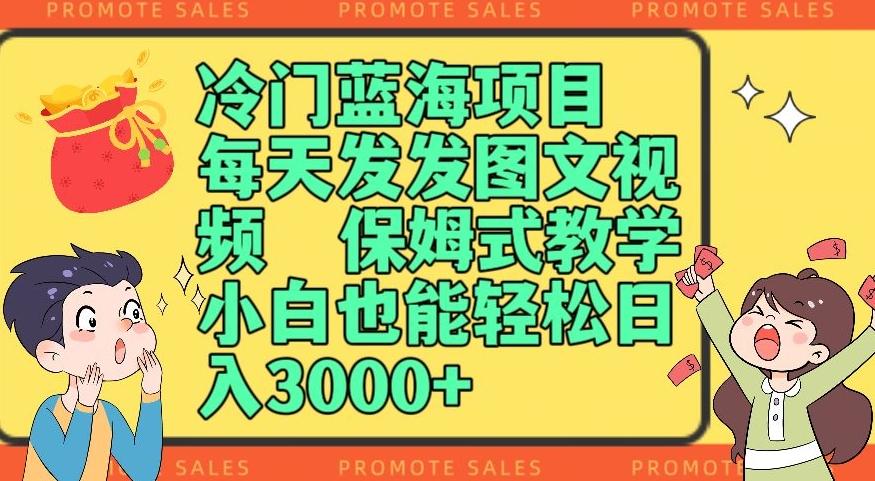 冷门蓝海项目，每天发发图文视频，保姆式教学，小白也能轻松日入3000+-天使资源网